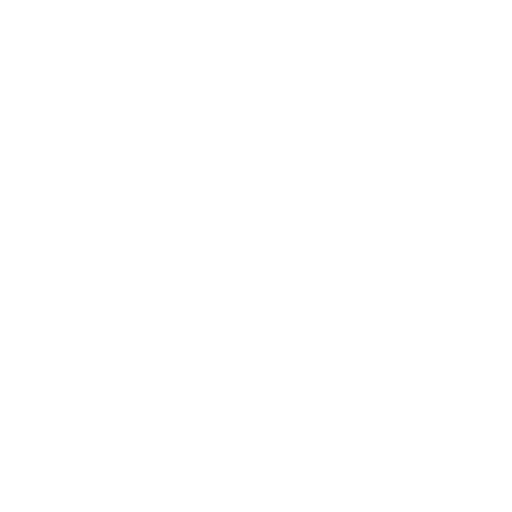 Incognito magánnyomozó iroda logo